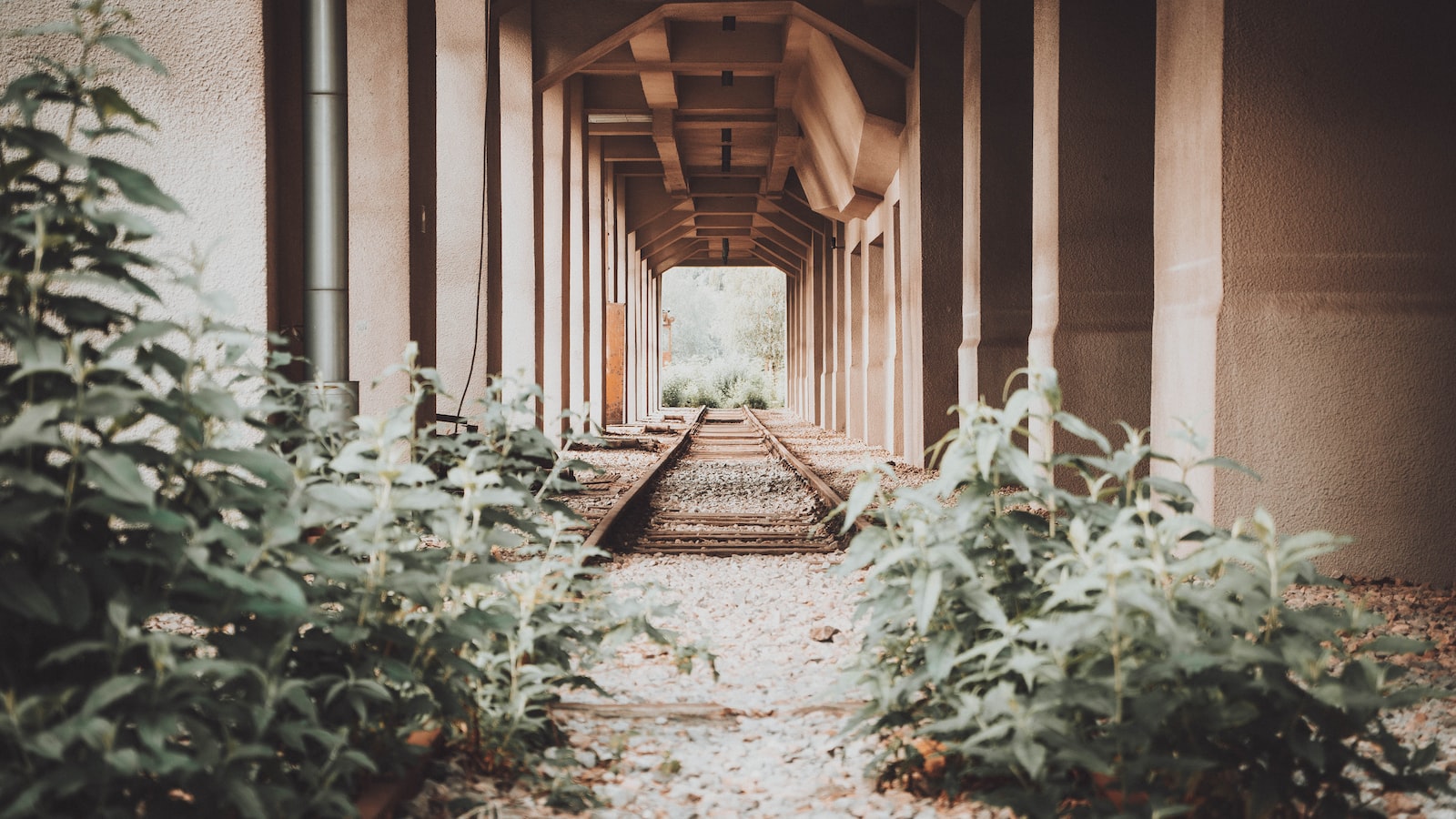 Ruby on Rails: The Future of the Framework