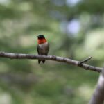 “10 Essential Gems for Ruby on Rails Development”