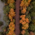 “Using AJAX in Rails: Enhancing User Experience”